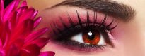 Wimpern, lang & dicht